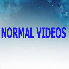 normal video creation
